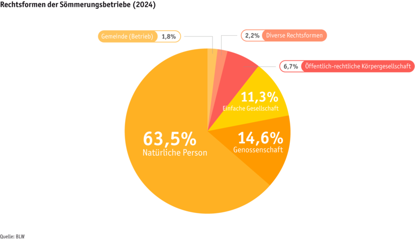 ab25-betrieb-strukturen-grafik-rechtsformen-sommerung-d.png